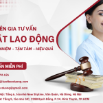 CHUYÊN GIA TƯ VẤN LUẬT LAO ĐỘNG